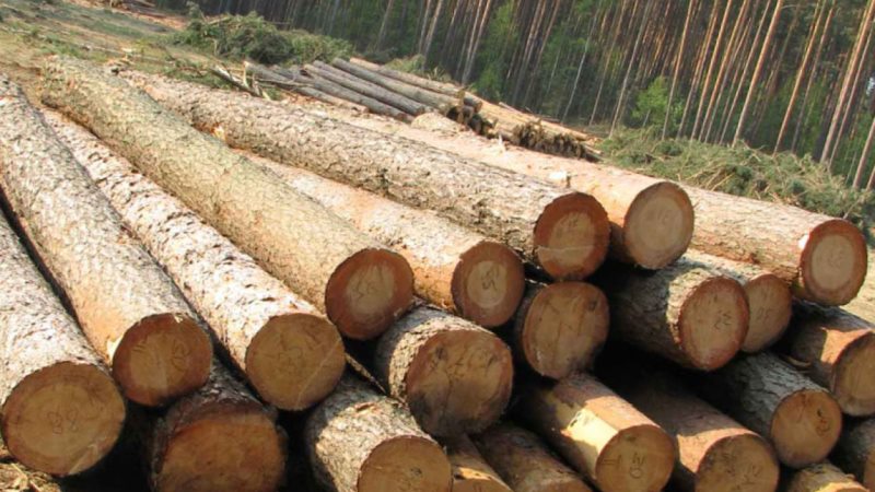Как сделать строительные леса своими руками: какой материал выбрать + нюансы монтажа